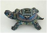 Turtle Baby